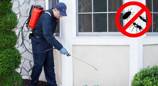 Saray Böcek İlaçlama böcek ilaçlama ve haşere kontrolü — ilaclama-tr.com
